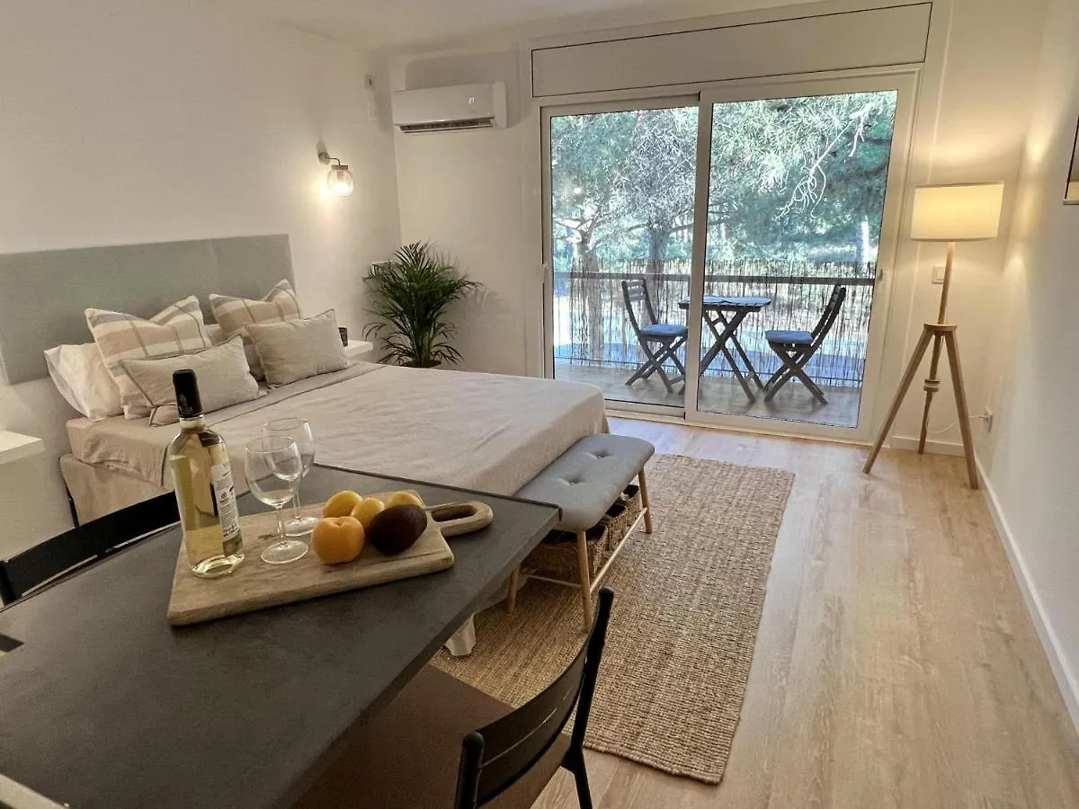 Estudi Swing Apartment Pals