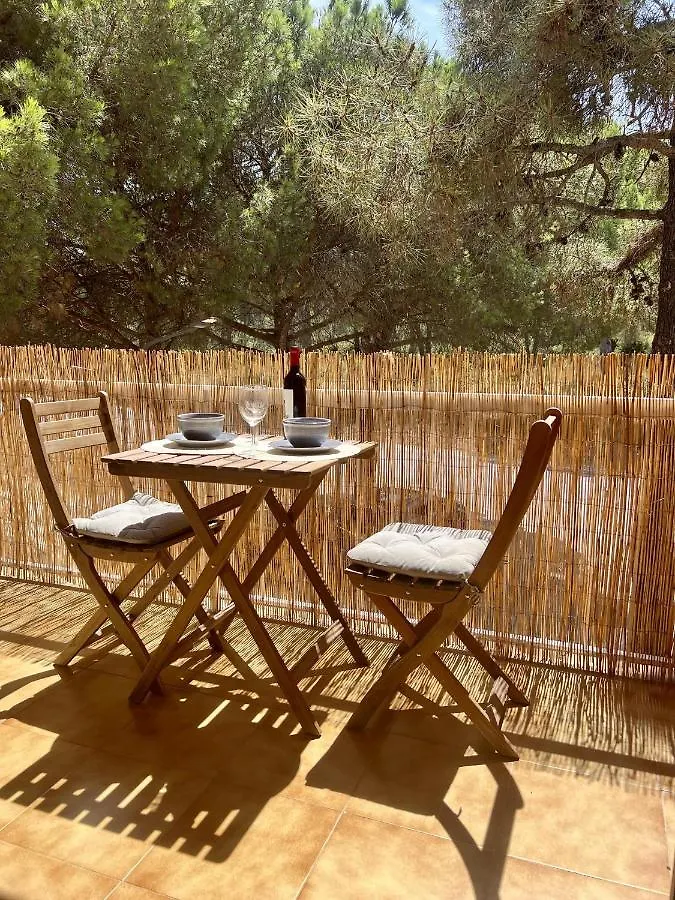 Estudi Swing Apartment Pals