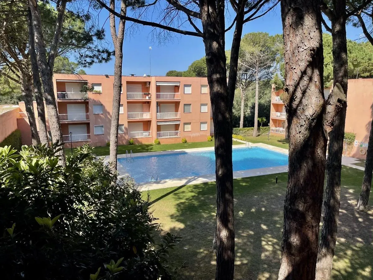 Estudi Swing Apartment Pals